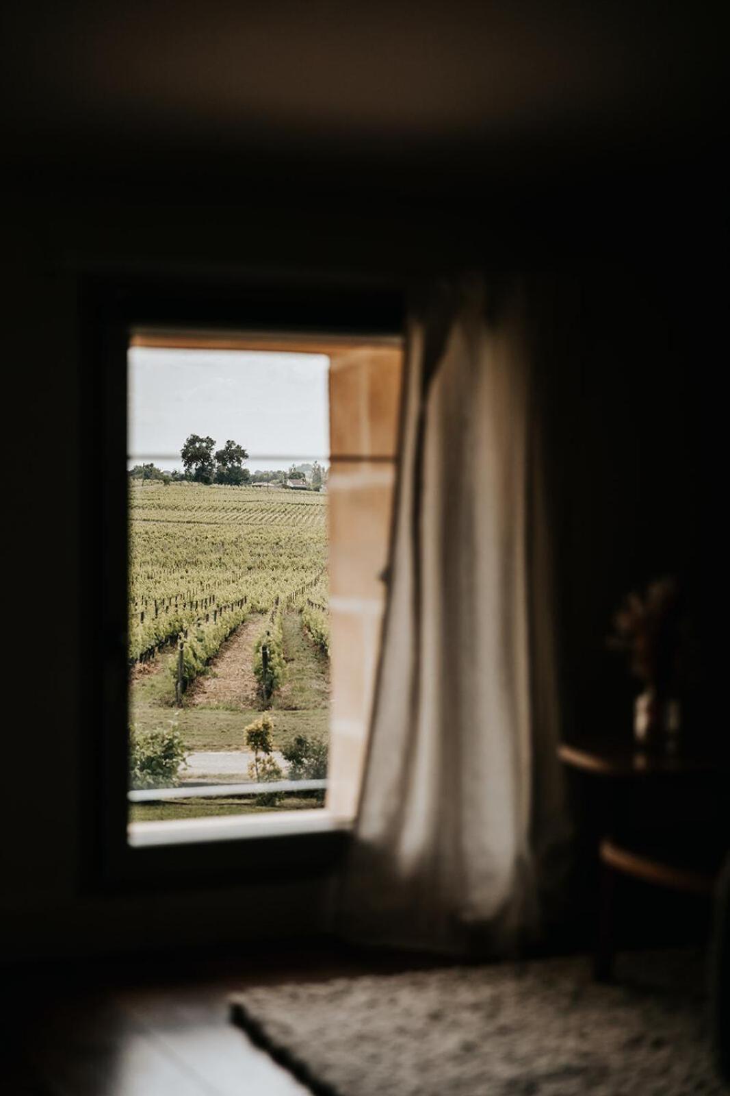 Chateau La Grande Clotte Lussac  Værelse billede